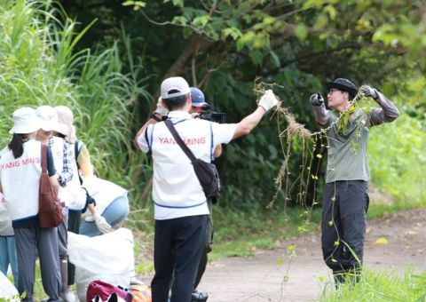 攜手守護台灣生態多樣性：小花蔓澤蘭防治行動