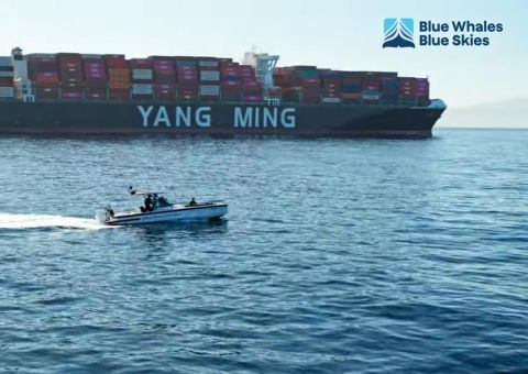 Yang Ming with Protecting Blue Whales and Blue Skies Program