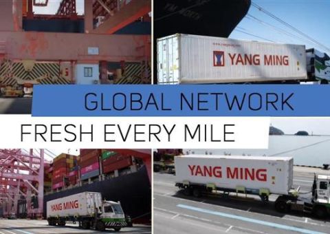Yang Ming Cold Chain Logistics