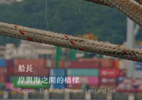 The Captain - Leading with Vision. Navigating by Profession and Passion.