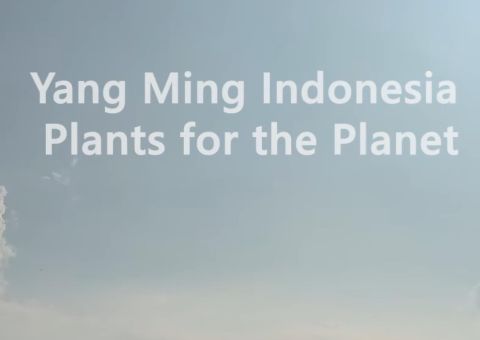 Yang Ming Indonesia「Plants for the Planet」